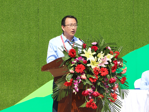 XPJ(中国区)官方网站