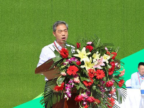 XPJ(中国区)官方网站